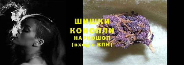 Альфа ПВП Гусиноозёрск