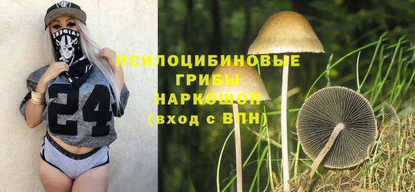 mix Гусь-Хрустальный