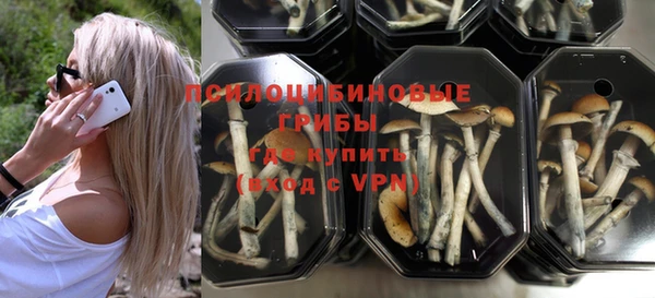 Альфа ПВП Гусиноозёрск