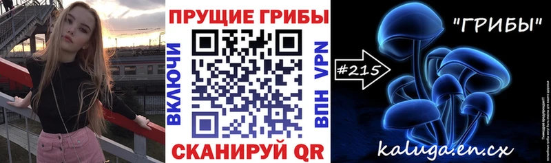 Псилоцибиновые грибы Cubensis  Купить закладки  Олонец 